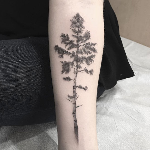 Tree tattoo on forearm by Ash TImlin