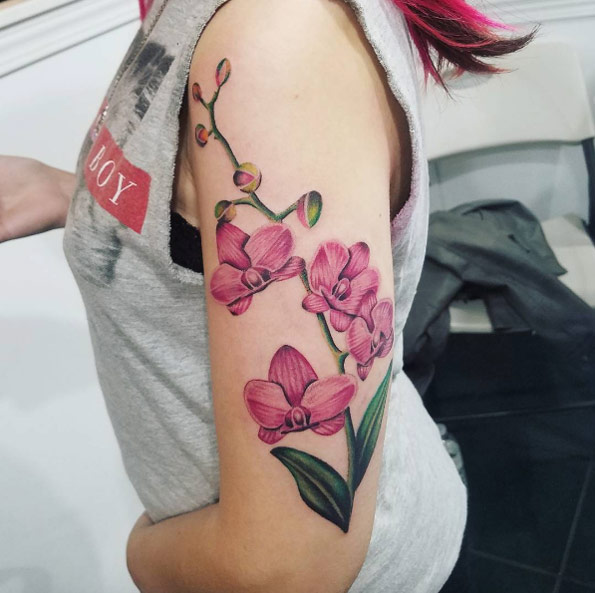 Pink orchids by April Ramirez