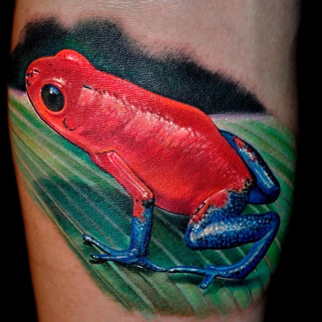 bluejean-frog-tattoo