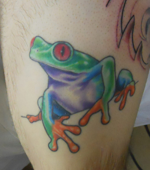 tropical-frog-tattoo