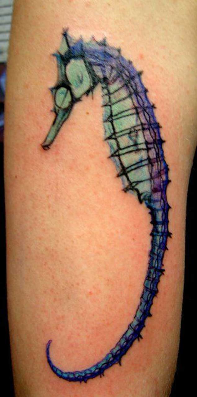 See-through seahorse tattoo