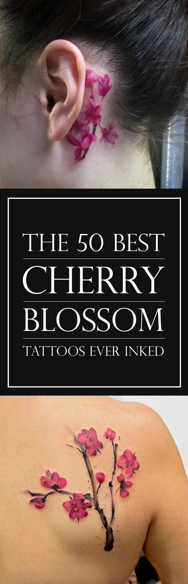 The 50 Best Cherry Blossom Tattoo Designs | TattooBlend