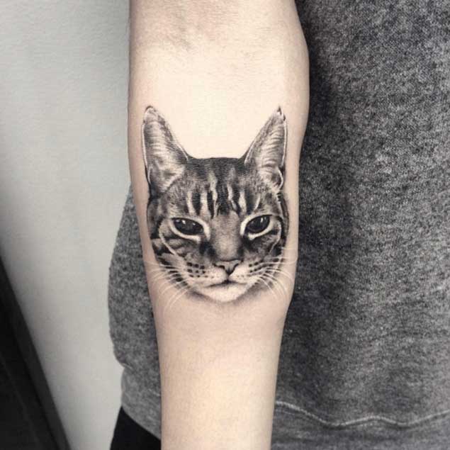 Hyper-Realistic Cat Tattoo
