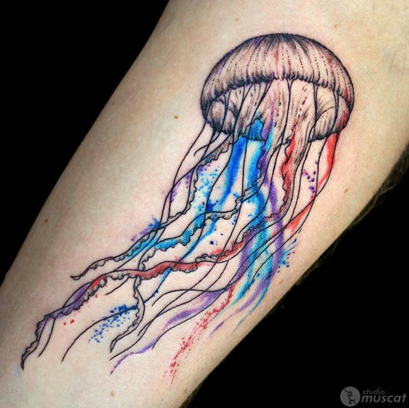 Jellyfish tattoo by Muscat