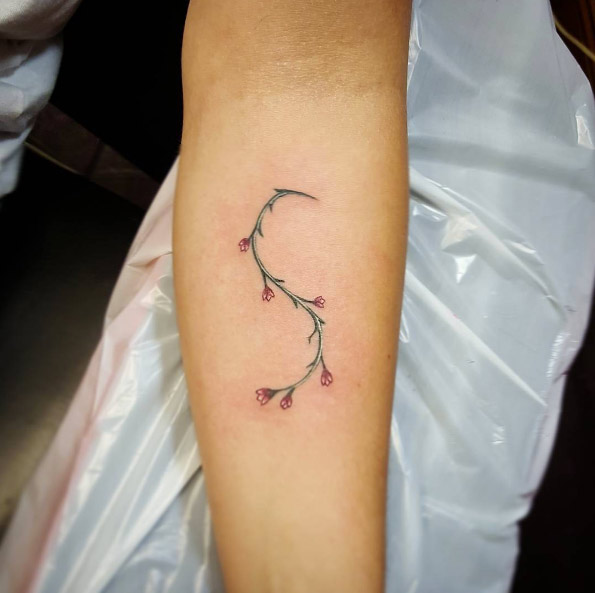 Minimal s-shaped cherry blossom tattoo by Adam Tyler Zinanni