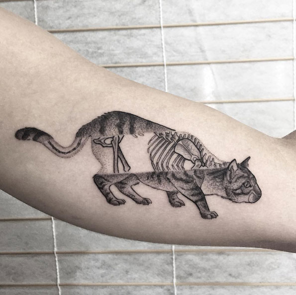 X-ray cat tattoo by Ash Timlin