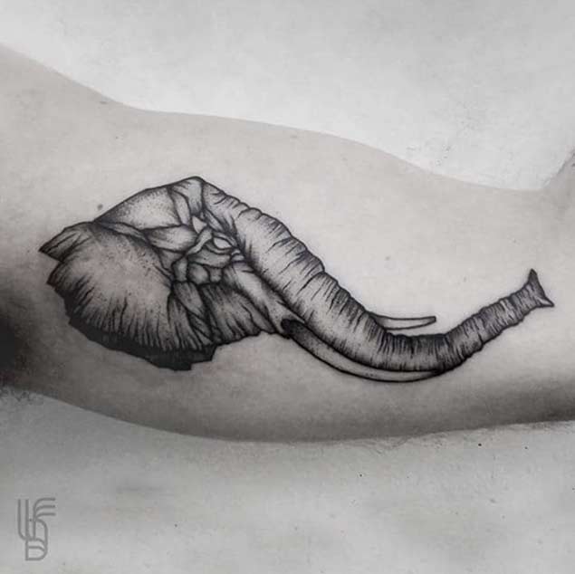 Dotwork Elephant Tattoo