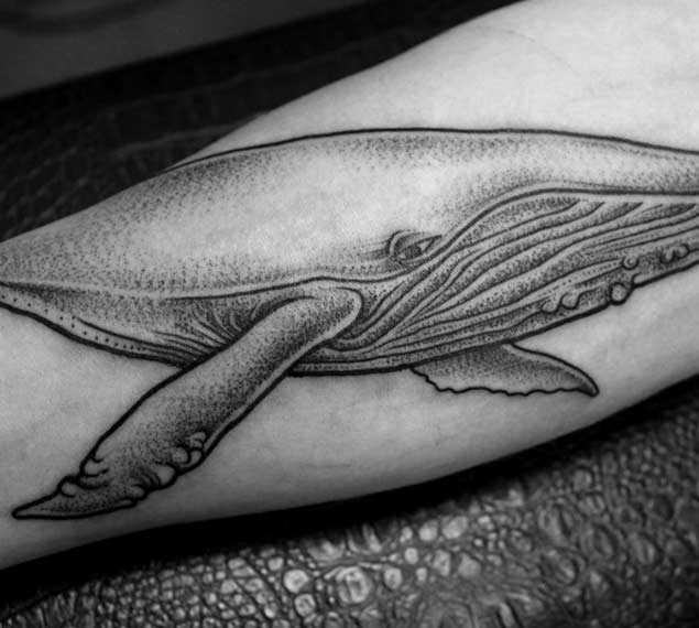 Dotwork Whale Tattoo