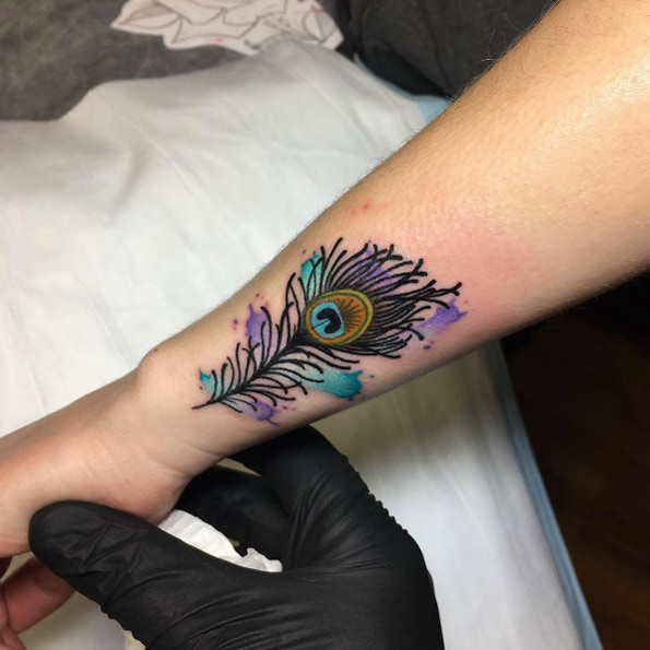 Peacock feather by Brodie