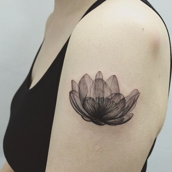 X-ray Lotus Flower Tatto by ilwol