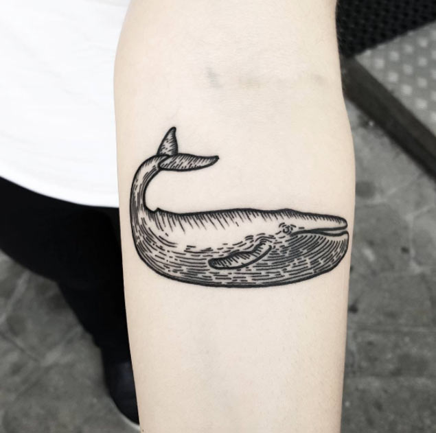 Linework Whale Tattoo on Forearm by Matteo Nangeroni