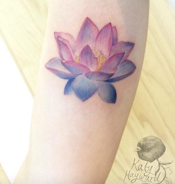 Violet lotus flower by Katy Hayward