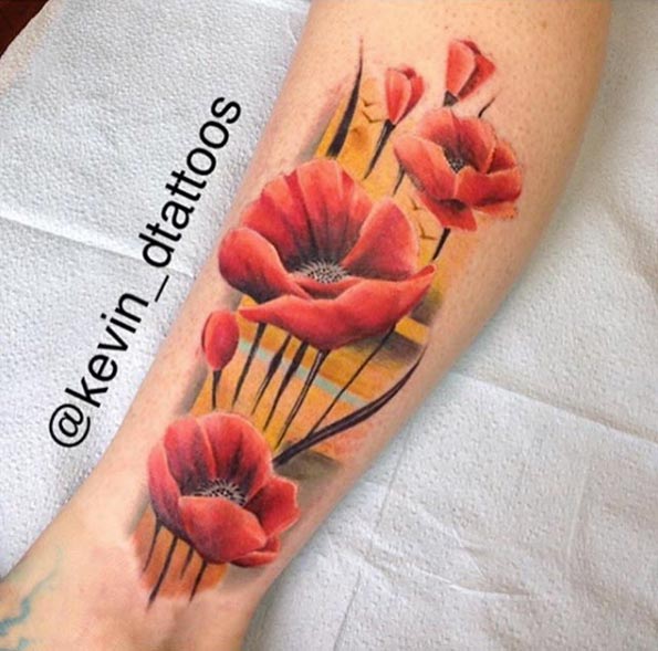 Vibrant poppies by Kevin Dixon