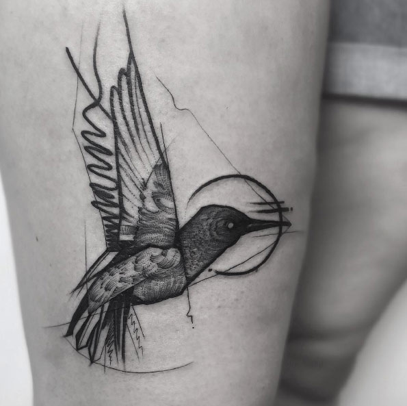 Sketch style hummingbird by Frank Carrilho
