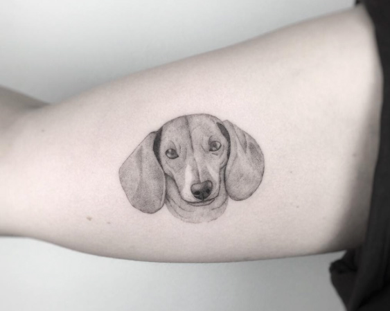 Beagle Tattoo Design by Jakub Nowicz