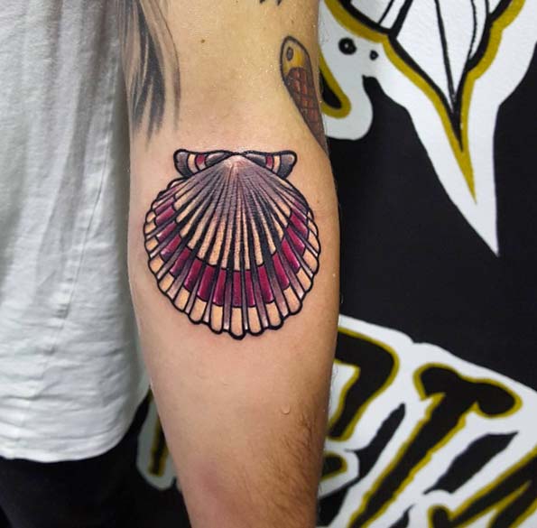 Colorful Scallop Shell by Fede