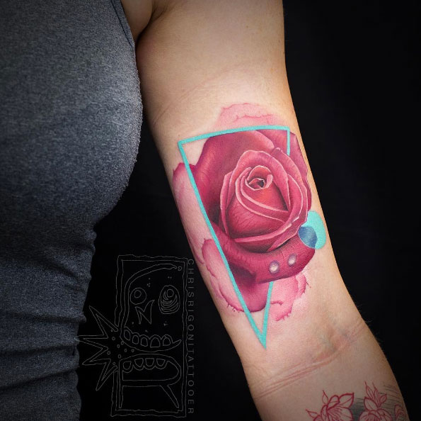 Cool pink rose by Chris Rigoni