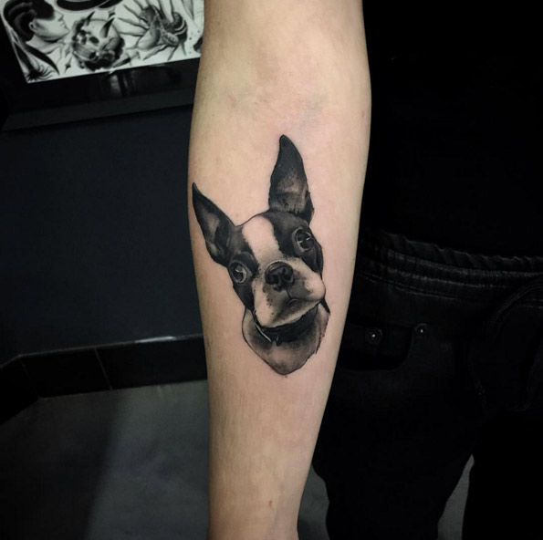 Dog Tattoo on Forearm by Pari Corbitt