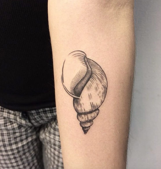 Dotwork Shell Tattoo by Derik Sorato