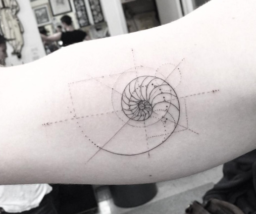 Geometric Shell Tattoo by Doctor Woo