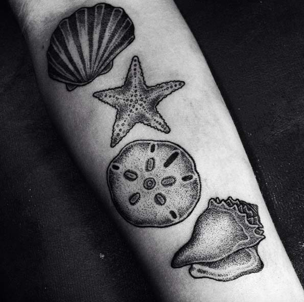 Seashell Tattoos on Forearm by DROCCOART