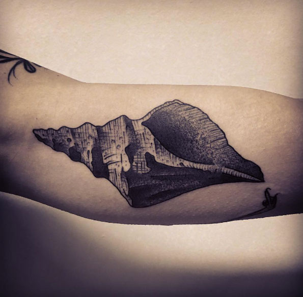 Sketch Style Shell Tattoo by Marco Rossetti