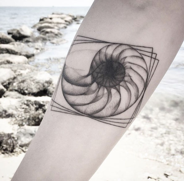 X-Ray Seashell Tattoo by Balazs Bercsenyi