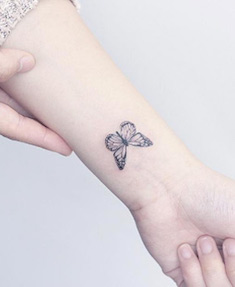 Butterfly by Mini Lau