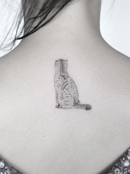 Cat Tattoo by Jakub Nowicz