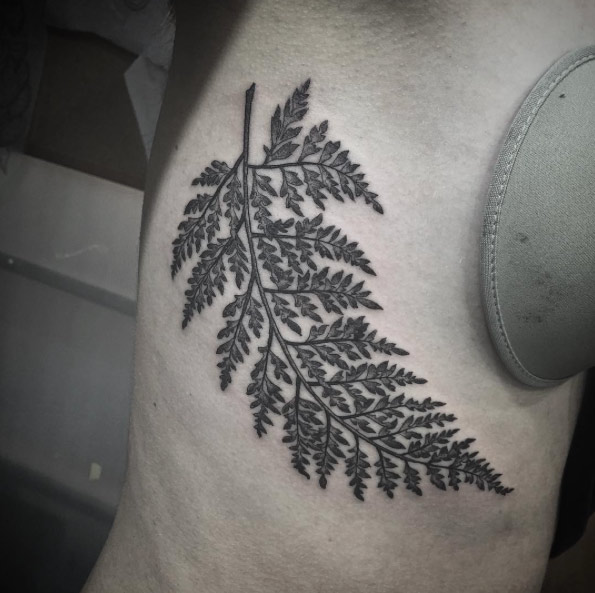 Large fern on ribcage by Ash Timlin