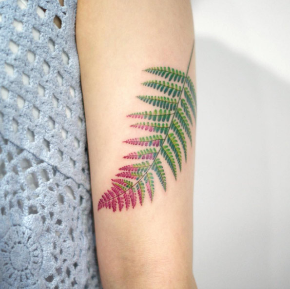 Fern with red tips by Doy
