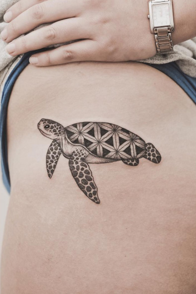 Sea Turtle by Minnie