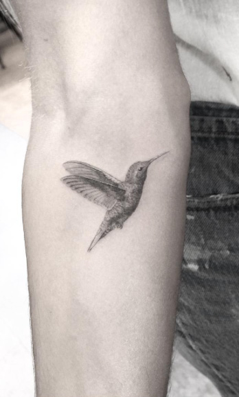 Black and gray ink hummingbird by Doctor Woo