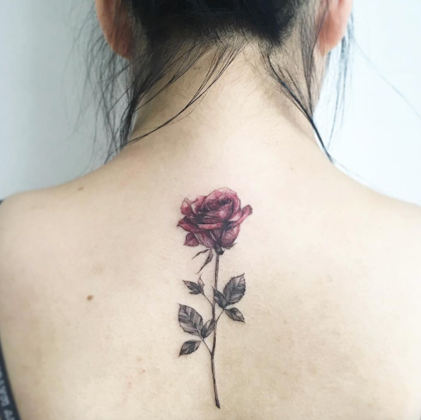 Red rose by Tattooist Flower