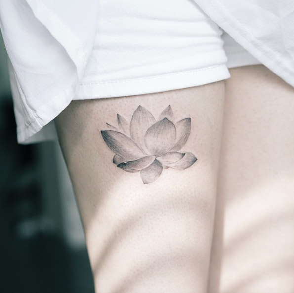 Elegant Lotus Flower by Sol Art