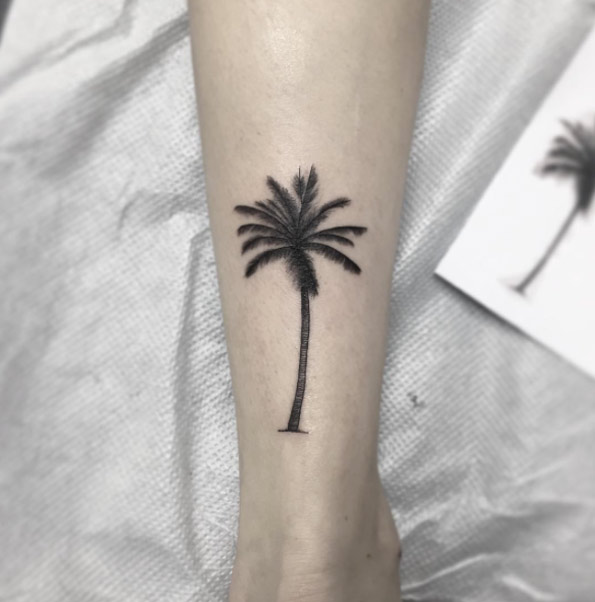 Palm Tree by Andreas Vrontis