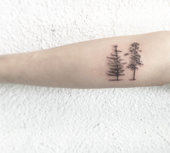 Pine Trees by Samantha Mancino