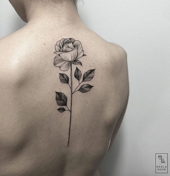 Black and grey ink rose on back by Marla Moon