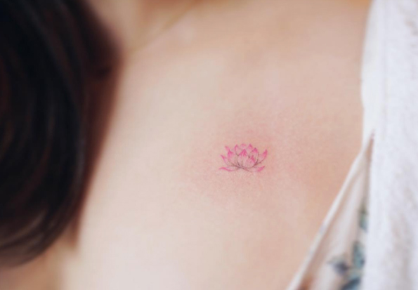 Tiny pink lotus flower by Nando