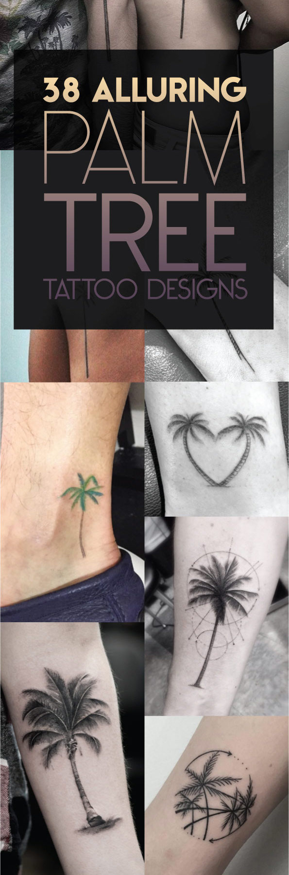 Palm Tree Tattoo Designs | TattooBlend