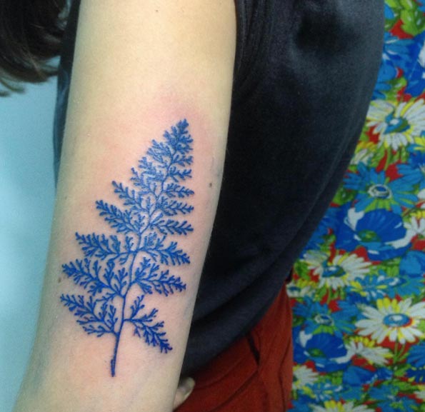 Blue ink fern by Ana Carolina Orlandin