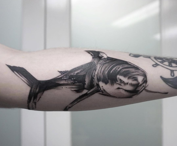 Shark by Lee Stewart