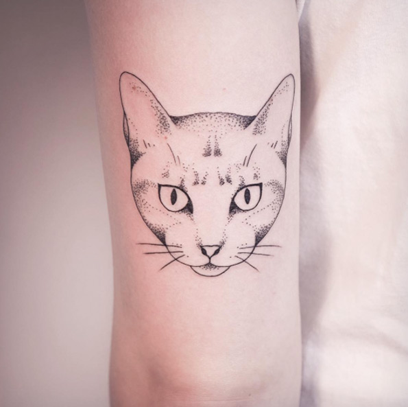 Cat by Melina Wendlandt