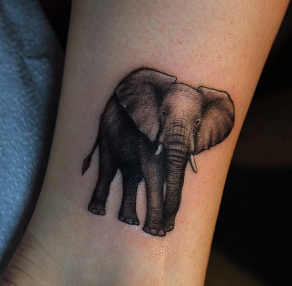 Elephant tattoo on ankle by Lazer Liz