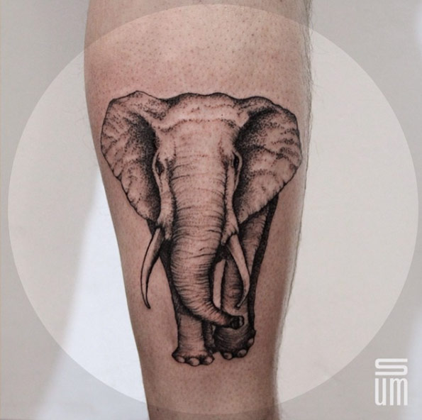 Dotwork elephant tattoo on calf by Dasha Sumkina