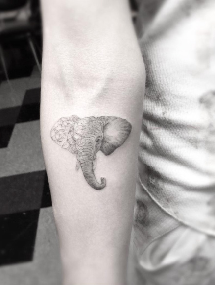 Elephant tattoo on forearm by Doctor Woo