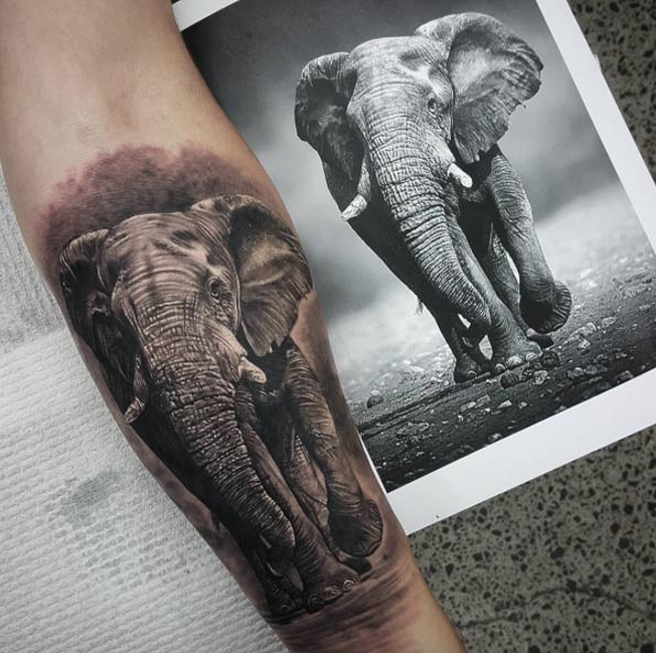 Hyperrealism elephant tattoo by Coen Mitchell