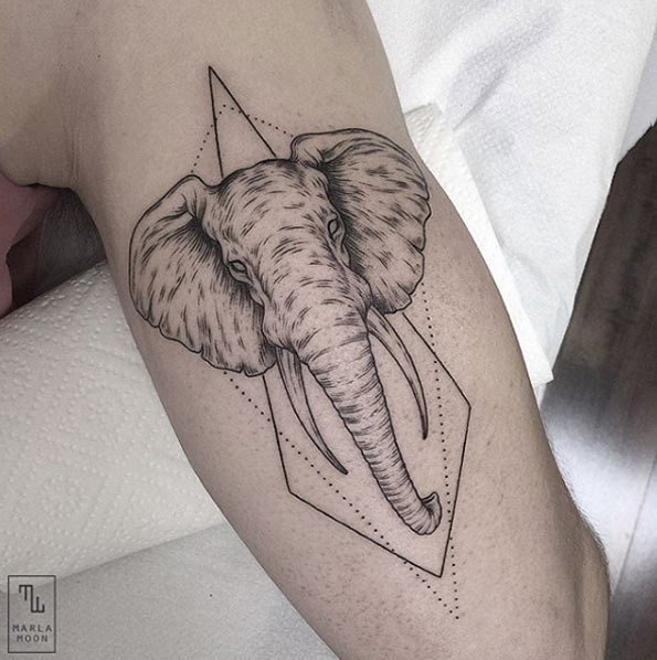 Linework elephant tattoo design by Marla Moon