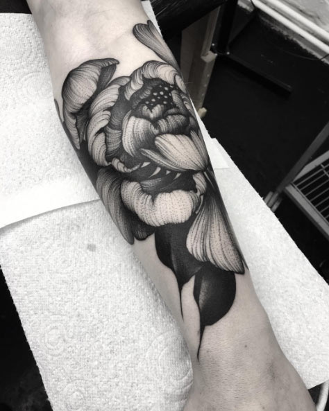 Large peony by Kelly Violet