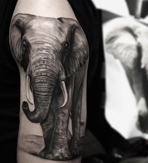 Amazing black and grey ink elephant tattoo by Rods Jimenez